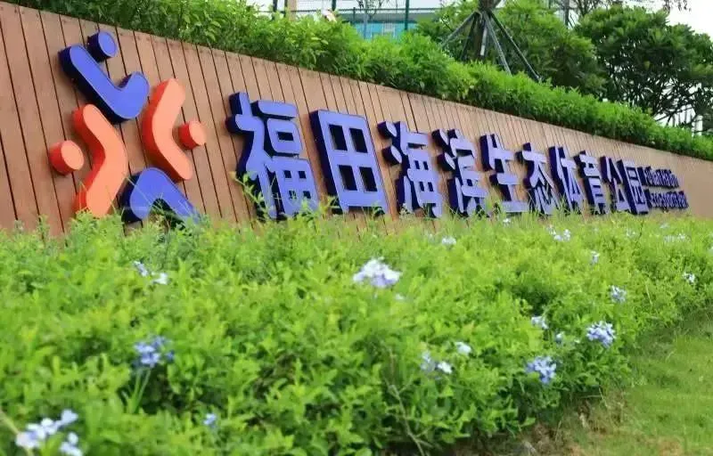 如何制定智能篮球训练计划_1
